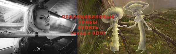 мдпв Семёнов