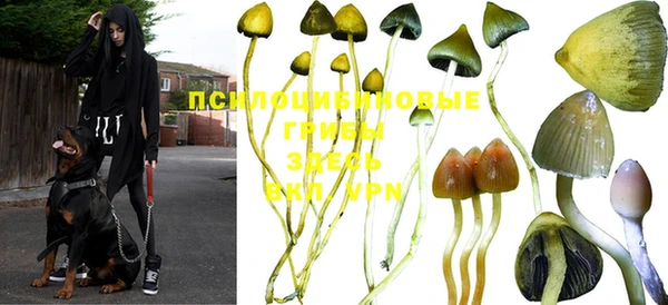 СК Семилуки