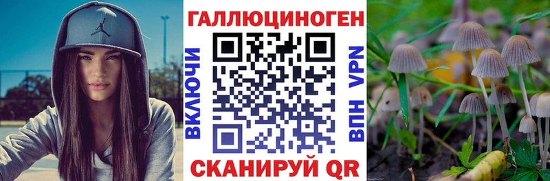 Псилоцибиновые грибы GOLDEN TEACHER  где найти   Клин 