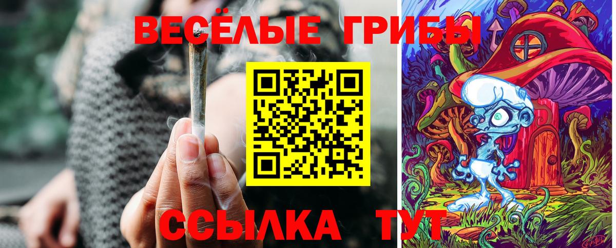 Клин  Галлюциногенные грибы мухоморы  Вход с VPN 