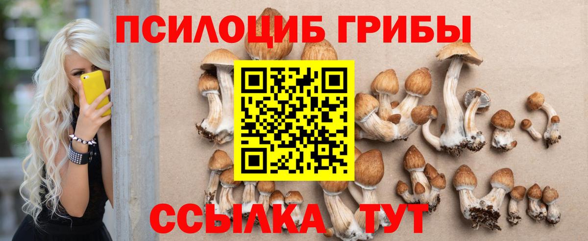 Псилоцибиновые грибы прущие грибы Клин